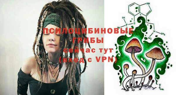 бошки Алексеевка