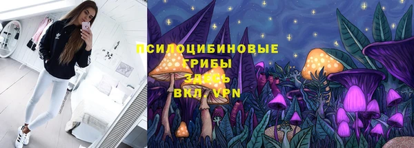 бошки Алексеевка