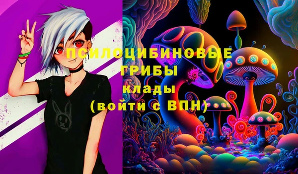 крисы Алексин